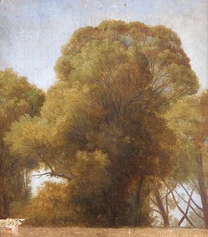 Jean Auguste Dominique Ingres - Study of trees