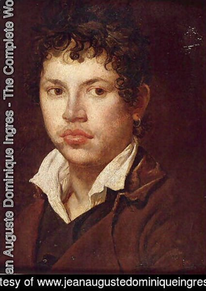 Jean Auguste Dominique Ingres - Portrait of a young man 2