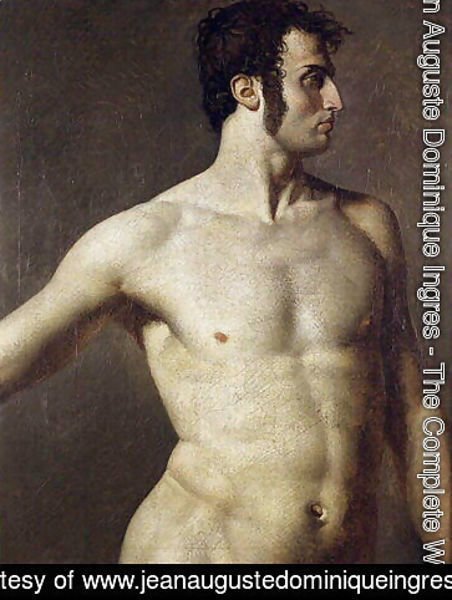 Jean Auguste Dominique Ingres - Male torso 2